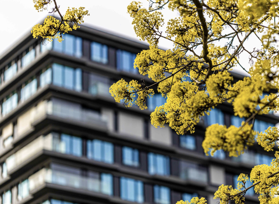 choix investissement SCPI